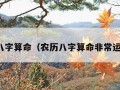 农历八字算命（农历八字算命非常运势网）