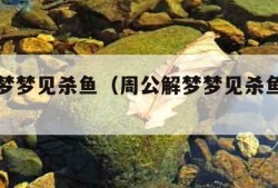 周公解梦梦见杀鱼（周公解梦梦见杀鱼是什么意思）