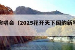 新年演唱会（2025花开天下国韵新年演唱会）