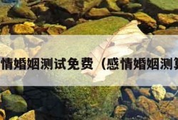 感情婚姻测试免费（感情婚姻测算）