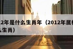 2012年是什么生肖年（2012年属相是什么生肖）