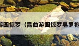 昆曲游园惊梦（昆曲游园惊梦皂罗袍曲谱）