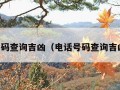 电话号码查询吉凶（电话号码查询吉凶周易）