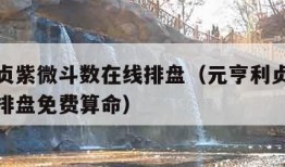 元亨利贞紫微斗数在线排盘（元亨利贞紫微斗数在线排盘免费算命）