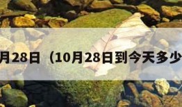 10月28日（10月28日到今天多少天）