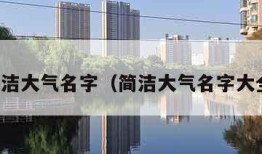 简洁大气名字（简洁大气名字大全）