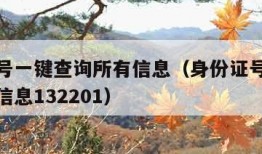 身份证号一键查询所有信息（身份证号一键查询所有信息132201）