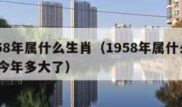 1958年属什么生肖（1958年属什么生肖 今年多大了）