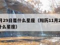 11月29日是什么星座（阳历11月29日是什么星座）