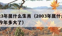 2023年属什么生肖（2003年属什么生肖 今年多大了）