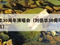 刘德华30周年演唱会（刘德华30周年演唱会图片）