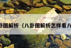 八卦图解析（八卦图解析怎样看八卦）