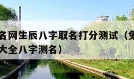 免费起名网生辰八字取名打分测试（免费起名网测名大全八字测名）