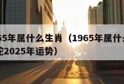 1965年属什么生肖（1965年属什么生肖蛇2025年运势）