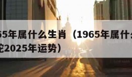 1965年属什么生肖（1965年属什么生肖蛇2025年运势）