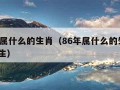 86年属什么的生肖（86年属什么的生肖8月出生）