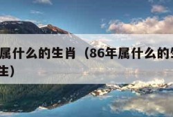 86年属什么的生肖（86年属什么的生肖8月出生）