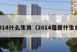 2014什么生肖（2014是属什生肖）