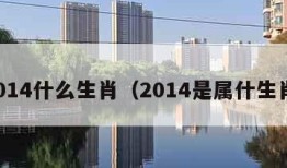 2014什么生肖（2014是属什生肖）