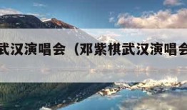 邓紫棋武汉演唱会（邓紫棋武汉演唱会官网订票）