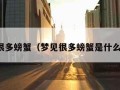 梦见很多螃蟹（梦见很多螃蟹是什么意思）