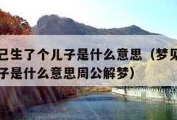 梦见自己生了个儿子是什么意思（梦见自己生了个儿子是什么意思周公解梦）