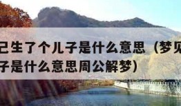 梦见自己生了个儿子是什么意思（梦见自己生了个儿子是什么意思周公解梦）