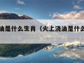 火上浇油是什么生肖（火上浇油是什么生肖动物）