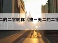 独一无二的二字昵称（独一无二的二字昵称特殊符号）