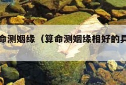 免费算命测姻缘（算命测姻缘相好的具体是什么）