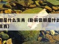 卧薪尝胆是什么生肖（卧薪尝胆是什么生肖打一数字生肖）