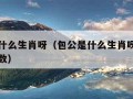 包公是什么生肖呀（包公是什么生肖呀二三门是什么数）