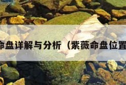 紫薇命盘详解与分析（紫薇命盘位置解析）