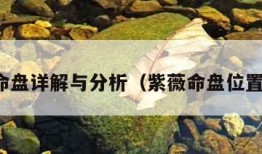 紫薇命盘详解与分析（紫薇命盘位置解析）