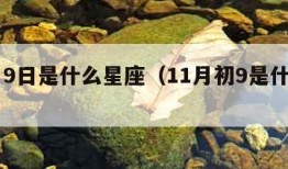 11月9日是什么星座（11月初9是什么星座?）