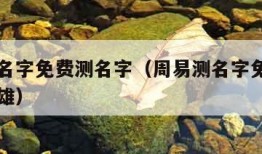 周易测名字免费测名字（周易测名字免费测名字张勃雄）