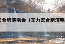 王力宏合肥演唱会（王力宏合肥演唱会2024）