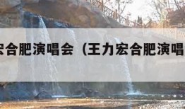 王力宏合肥演唱会（王力宏合肥演唱会2024）