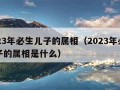 2023年必生儿子的属相（2023年必生儿子的属相是什么）