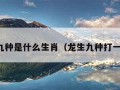 龙生九种是什么生肖（龙生九种打一数字）