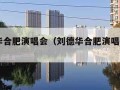 刘德华合肥演唱会（刘德华合肥演唱会2024）