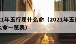 2021年五行属什么命（2021年五行属什么命一览表）