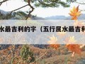 五行属水最吉利的字（五行属水最吉利的字男孩）