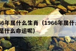 1966年属什么生肖（1966年属什么生肖,是什么命运呢）