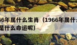 1966年属什么生肖（1966年属什么生肖,是什么命运呢）