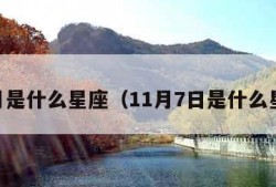 11月是什么星座（11月7日是什么星座）