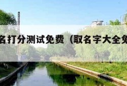 宝宝取名打分测试免费（取名字大全免费查询）