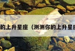 测测你的上升星座（测测你的上升星座是啥）