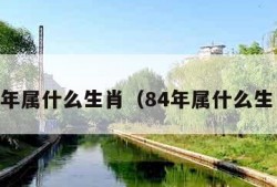 82年属什么生肖（84年属什么生肖）