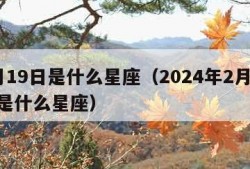 2月19日是什么星座（2024年2月19日是什么星座）